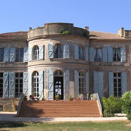 LʼIsle-Jourdain Chateau De Clermont-Saves Bed & Breakfast エクステリア 写真