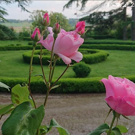 LʼIsle-Jourdain Chateau De Clermont-Saves Bed & Breakfast エクステリア 写真